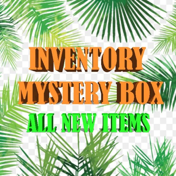 Other - INVENTORY MYSTERY BOX BRAND NEW ITEMS